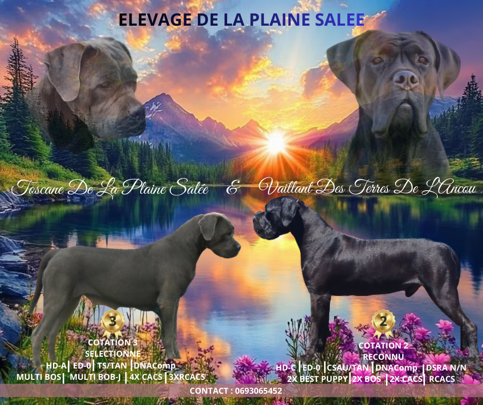 De La Plaine Salée - pré-réservation